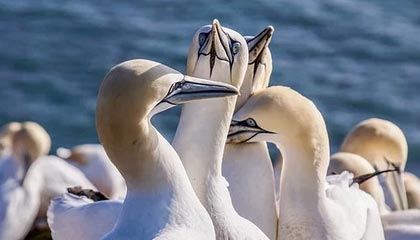 开云·体育官网-辽宁男篮逆转广厦，郭艾伦送出生涯助攻新高，辽宁男篮郭艾伦近况