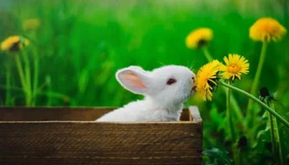 开云体育网页版入口-皇马官宣新援加盟，姆巴佩转会大戏尘埃落定，曝皇马放弃今夏引进姆巴佩