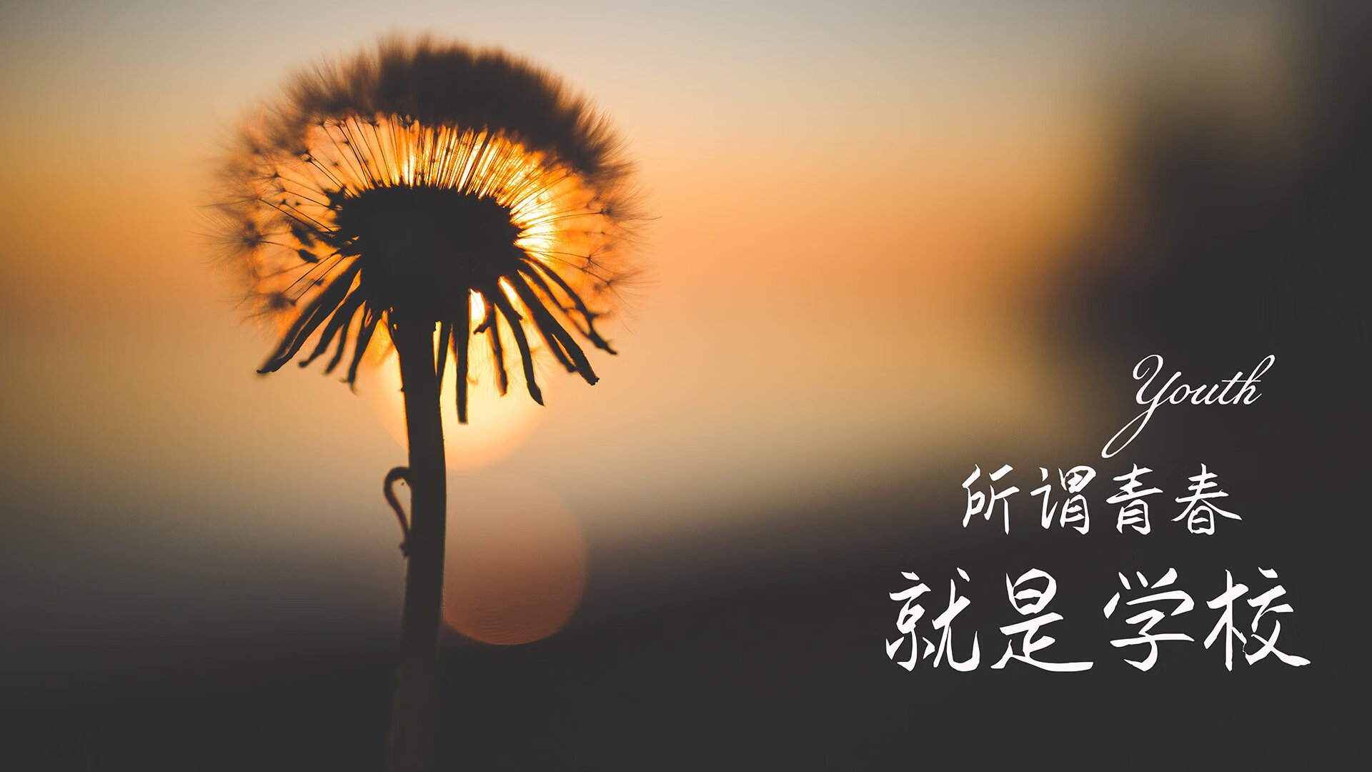 _绿色竞技：环保型场地推动可持续发展_，绿色环保设施