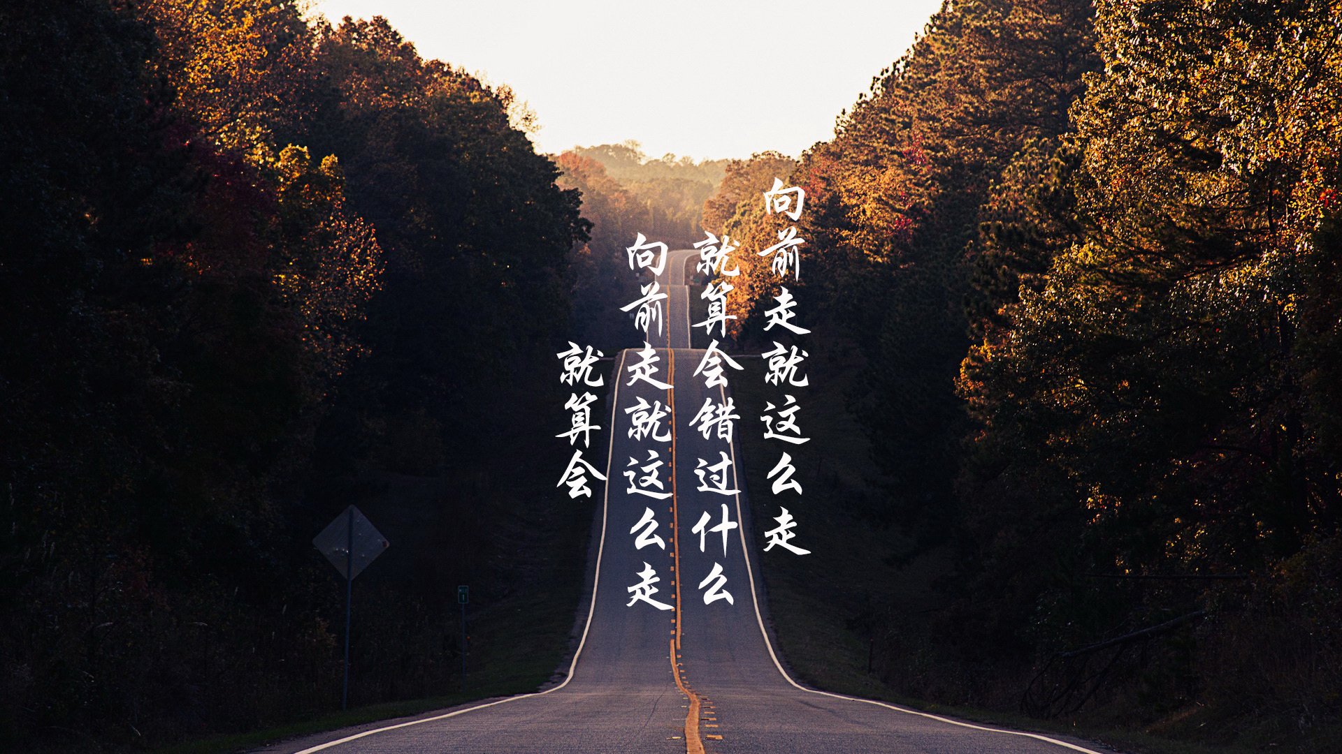 _自然攀岩探险：回归大山的纯粹运动_，自由攀岩第一人