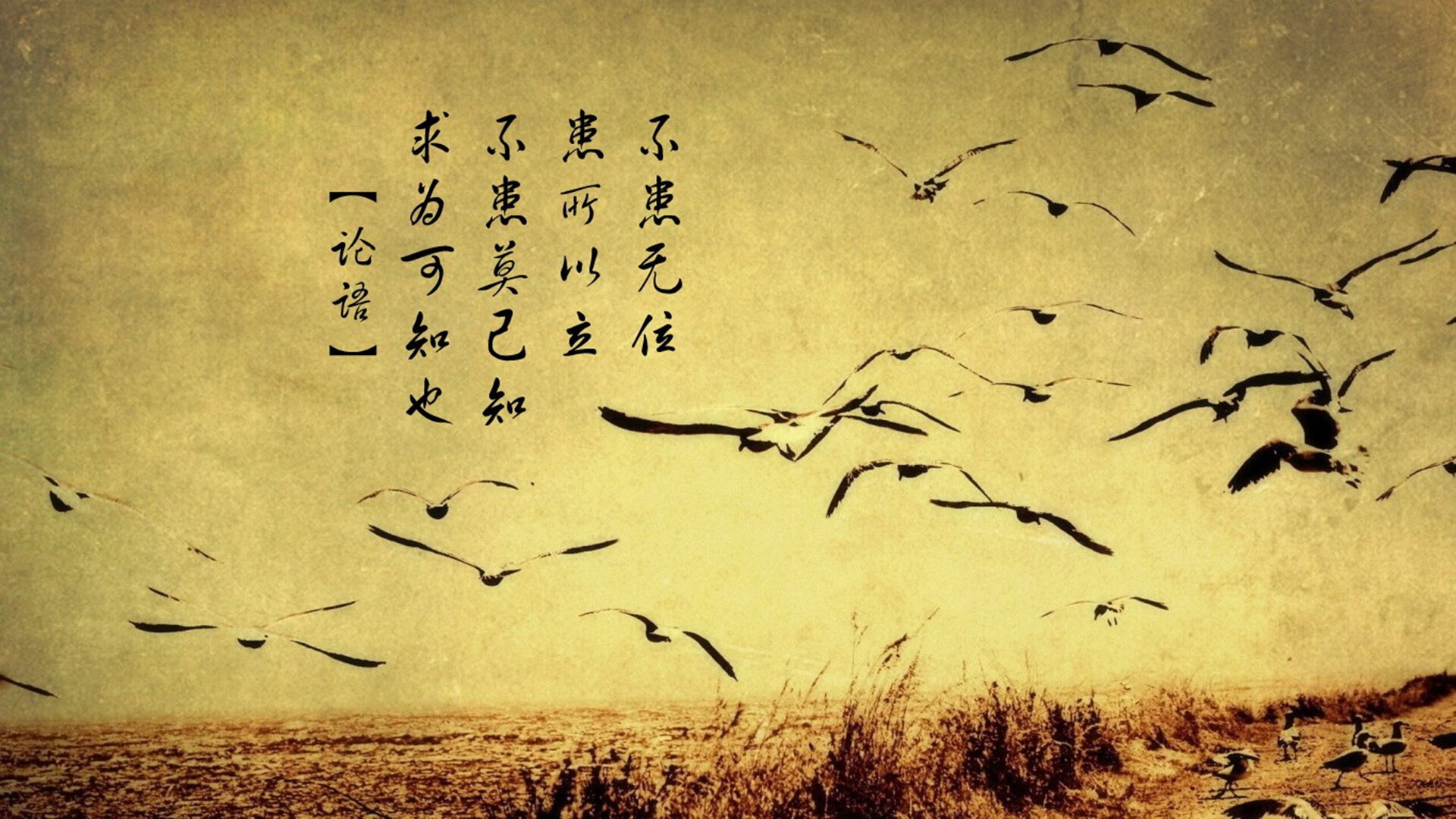 墨西哥苦战克罗地亚，欧洲杯资格悬念难破，墨西哥联赛集锦
