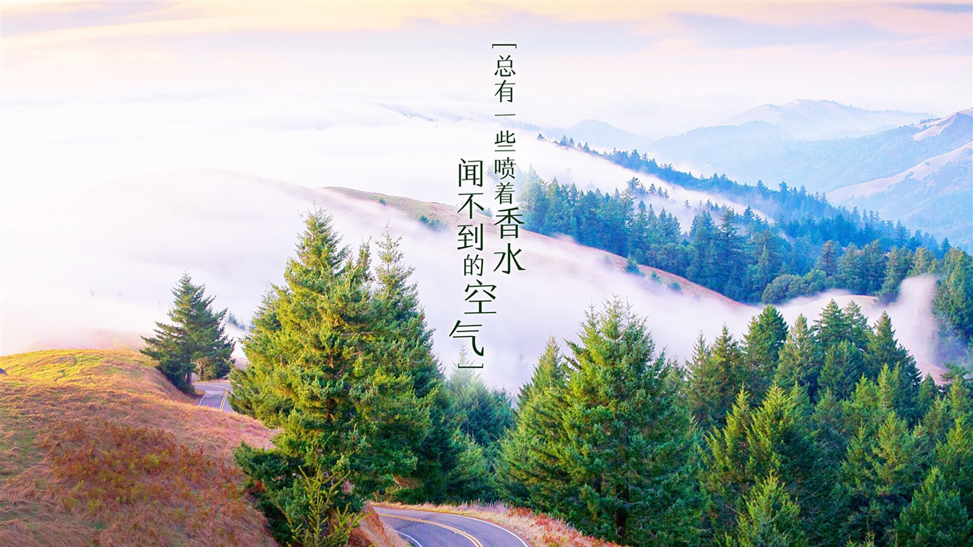 亚冠联赛国家队出战 技术能力提升明显，亚冠各国联赛排名