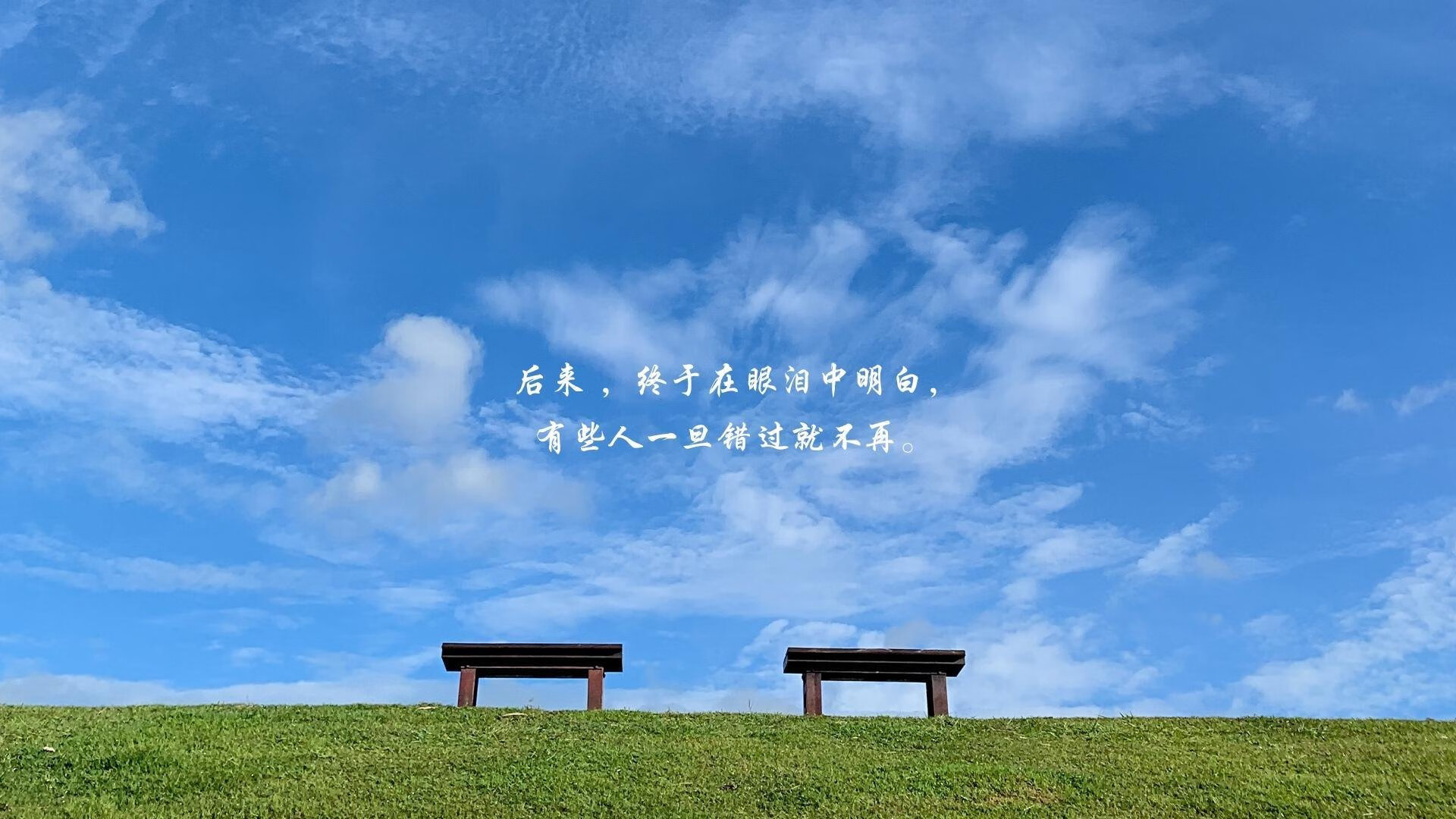 弗朗索瓦·斯图尔特：极具战术眼光的中场球员，始终占据比赛主动